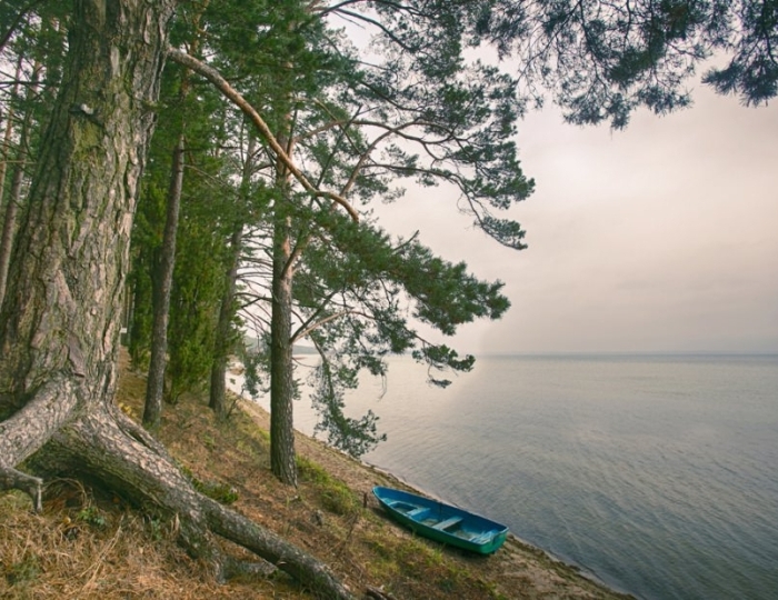 Оборудованный пляж - Санаторий «Журавушка»