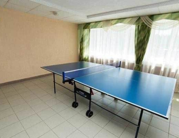 Настольный теннис - Санаторий «Журавушка»
