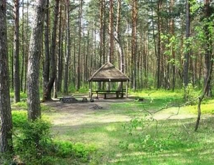 Климатолечение - Санаторий «Журавушка»